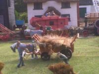 What did they&nbsp;do?